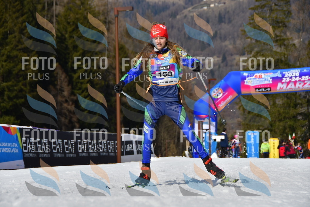 _DSC0319 | holidayphoto