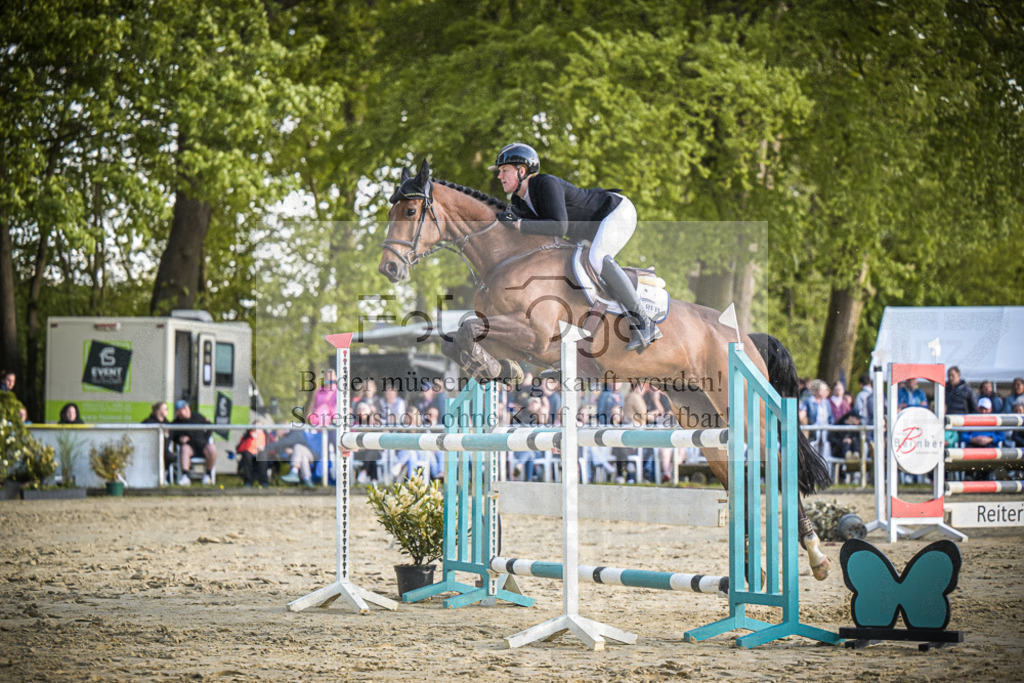 DOS_4068 | Entdecke hochwertige Reitturnierfotos von Foto Oger. Professionell, emotional und authentisch – jetzt Lieblingsmomente im Shop bestellen.Deutschlandweite Turnierfotografie. - Realisiert mit Pictrs.com