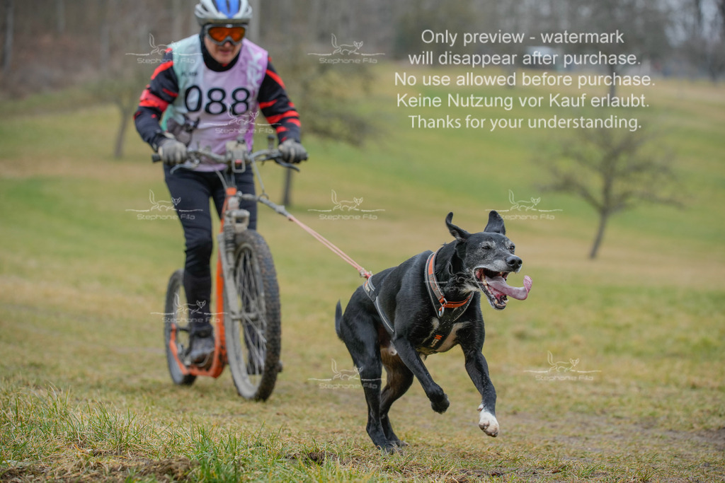 Sa_Scooter1-153 | stephaniefillaphotographie - Realisiert mit Pictrs.com