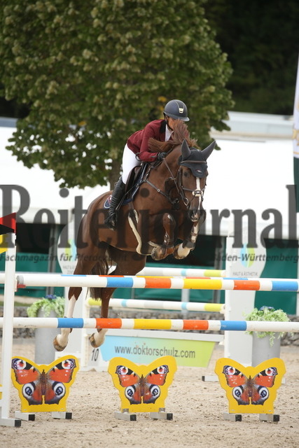 Villingendorf_2022_Prfg.Nr.08_zwei Phasen_Springprfg.Kl.M_Youngster_Elisabeth Meyer_Derrick 121 (3) | Alle Fotos der Reiterjournal Fotografin Doris Matthaes im Reiterjournal Online-Fotoshop. - Realisiert mit Pictrs.com