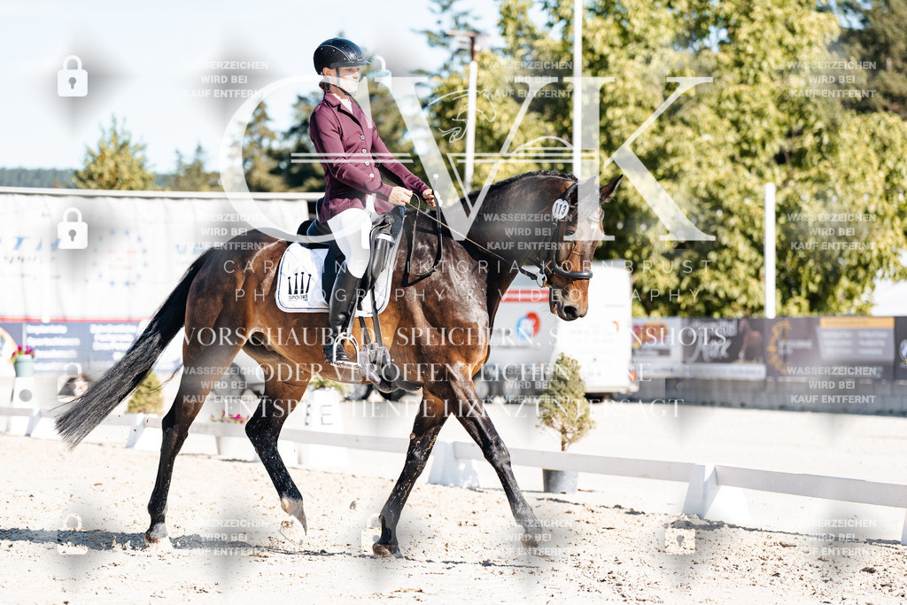 CK907586 | Turnierfotografie Pferdefotografie Trier Rheinland-Pfalz Pferdesport Reitsport Tierfotografie Sportfotografie Pferdevideo Pferdevideografie Equestrianvideography equestrianphotography  - Realisiert mit Pictrs.com