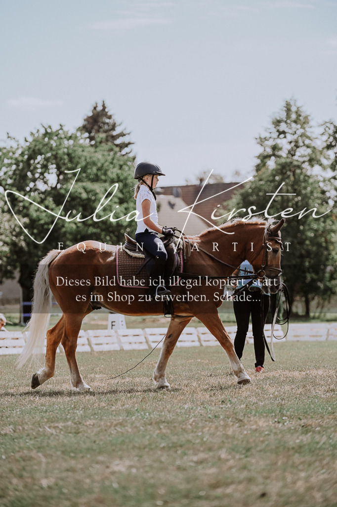 DSC_7815 | Pferde- und Turnierfotografie in Westsachsen. Pferdeportraits, Auftragszeichnungen und intuitive Kunst.