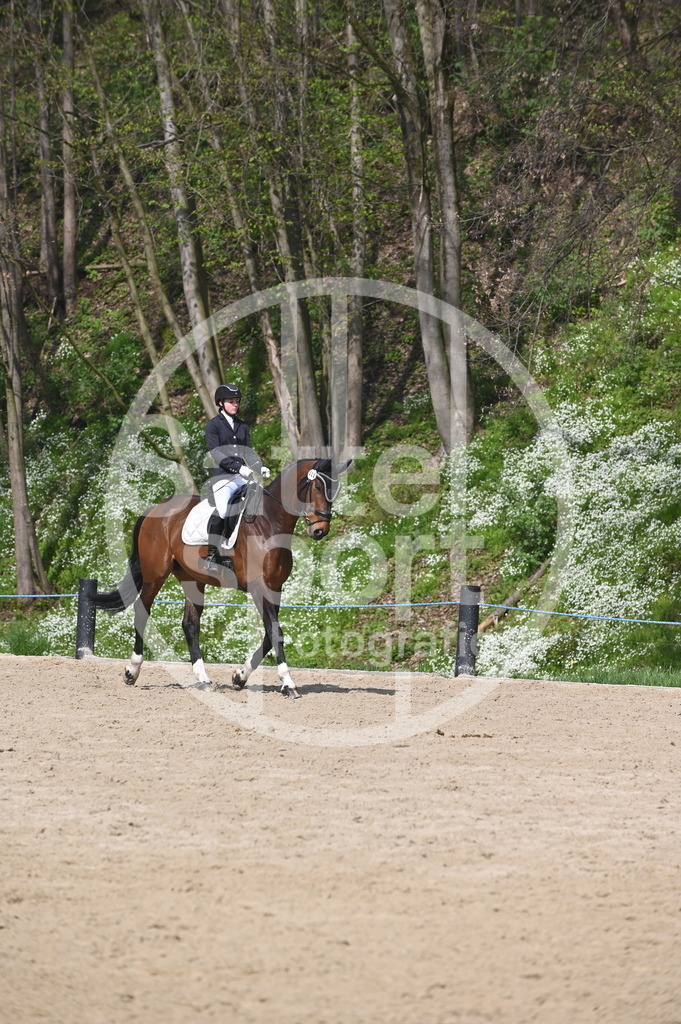 DSC_1051 | sattelsport - Realisiert mit Pictrs.com