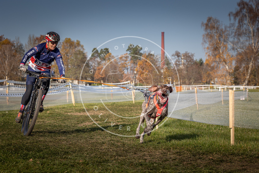 CaniXpix_0L8A7218 | Hundefotografie, Tierfotograf, Pfotenfotografie, Fotoshooting Hund, Hunde Portrait, Hundesport, Hundeportraits, Heideshooting, Hunde, Sportfotograf, Hundefotograf, Turnierhundsport, THS,  - Realisiert mit Pictrs.com