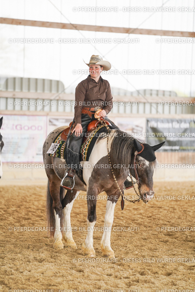 DSC02269 | Pferdegrafie