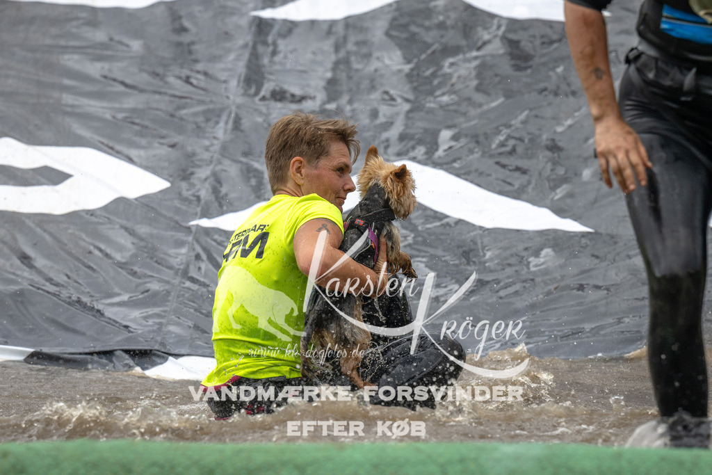 1558_ZZ91778 | kk-dogfotos