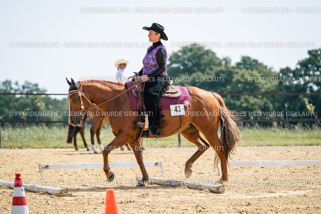 DSC00252 | Pferdegrafie