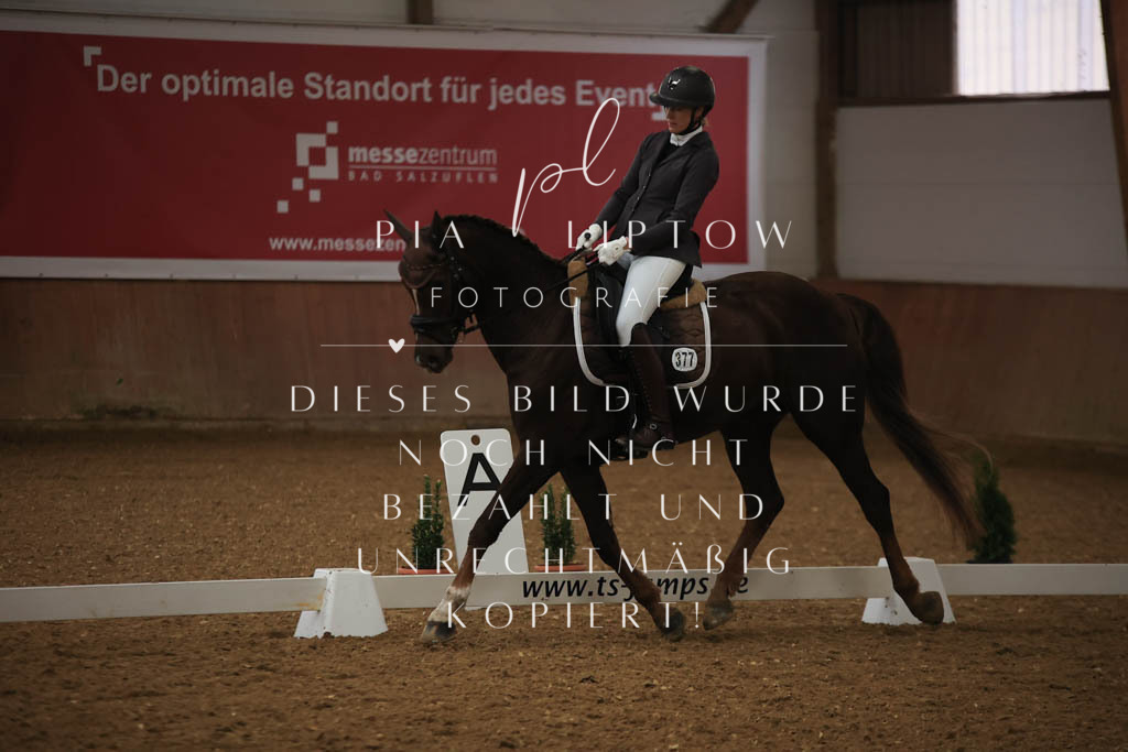 IMGT9395 | pl-fotografie