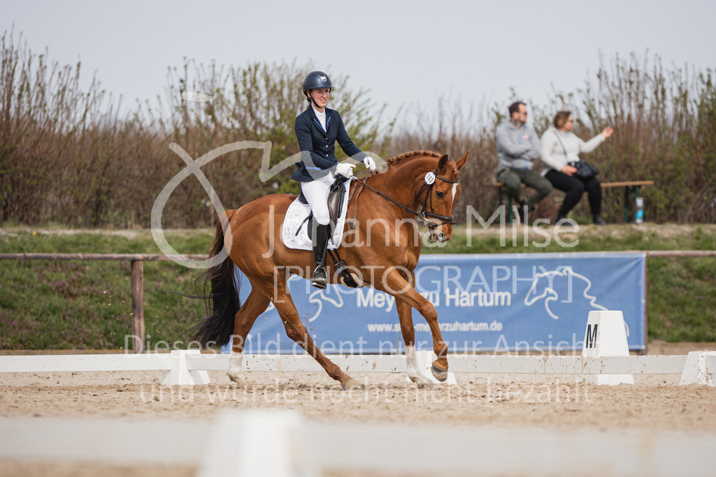 230410_Frühlingsfest_A-Dressur-488 | Deine schönsten Turniermomente als professionelle Fotos! Entdecke hochwertige Pferdesport-Fotografie im Online-Shop. Jetzt Fotos finden & bestellen!