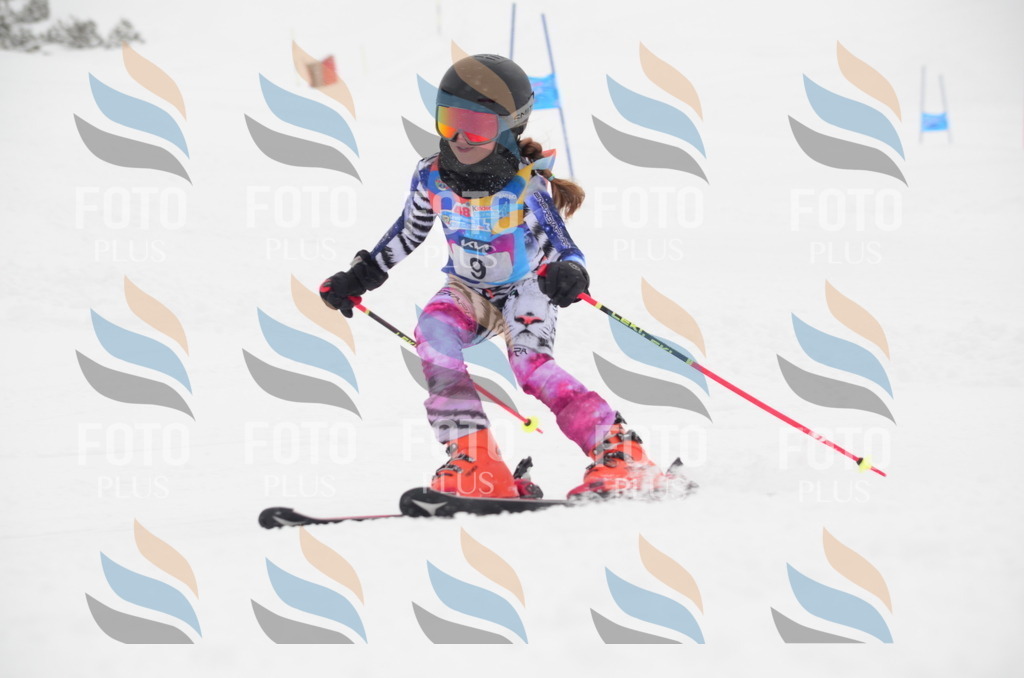 C0591 | holidayphoto