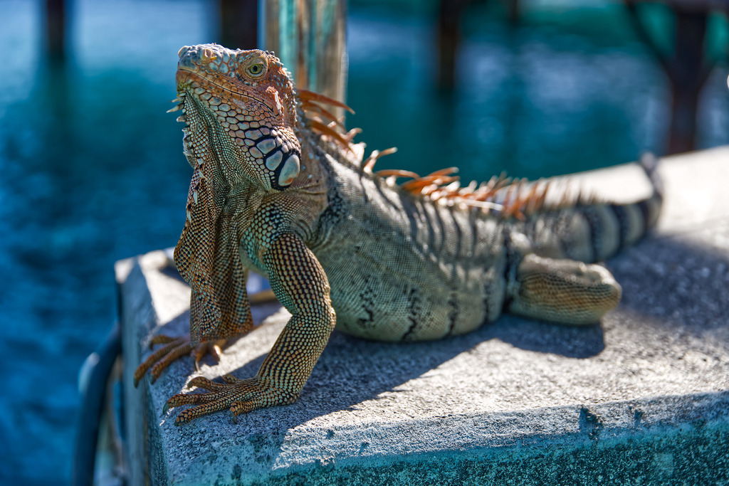 1H5A0505 | ansichtssache