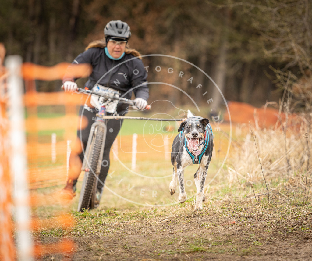 DV3A1506 | Hundefotografie, Tierfotograf, Pfotenfotografie, Fotoshooting Hund, Hunde Portrait, Hundesport, Hundeportraits, Heideshooting, Hunde, Sportfotograf, Hundefotograf, Turnierhundsport, THS,  - Realisiert mit Pictrs.com