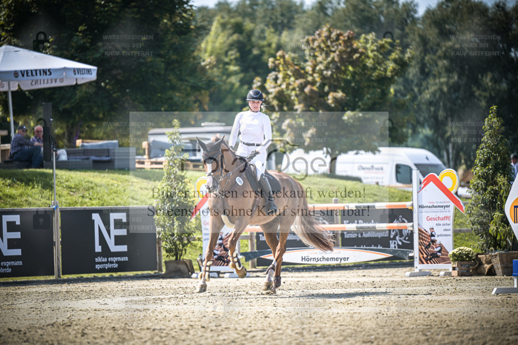 DOS_2784 | Entdecke hochwertige Reitturnierfotos von Foto Oger. Professionell, emotional und authentisch – jetzt Lieblingsmomente im Shop bestellen. - Realisiert mit Pictrs.com