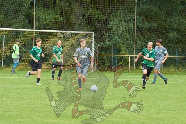 SpG Freya Marienwerder-Union Klosterfelde III vs. SpG Biesenthal-Grüntal II 186 | mythos-online-redaktion