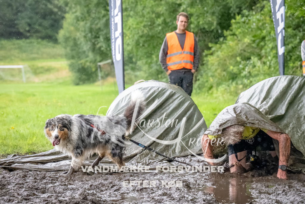 0931_ZZ91120-Bearbeitet | kk-dogfotos