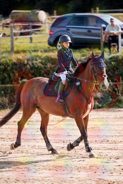 2026_10_03_Siefer-Hof_143750_Z81_06812758 | Professionelle Reitsport-, Turnier- und Eventfotografie von Robert Broda. Galerien mit ausgewählten und bearbeiteten Bildern direkt online ansehen und bestellen.
