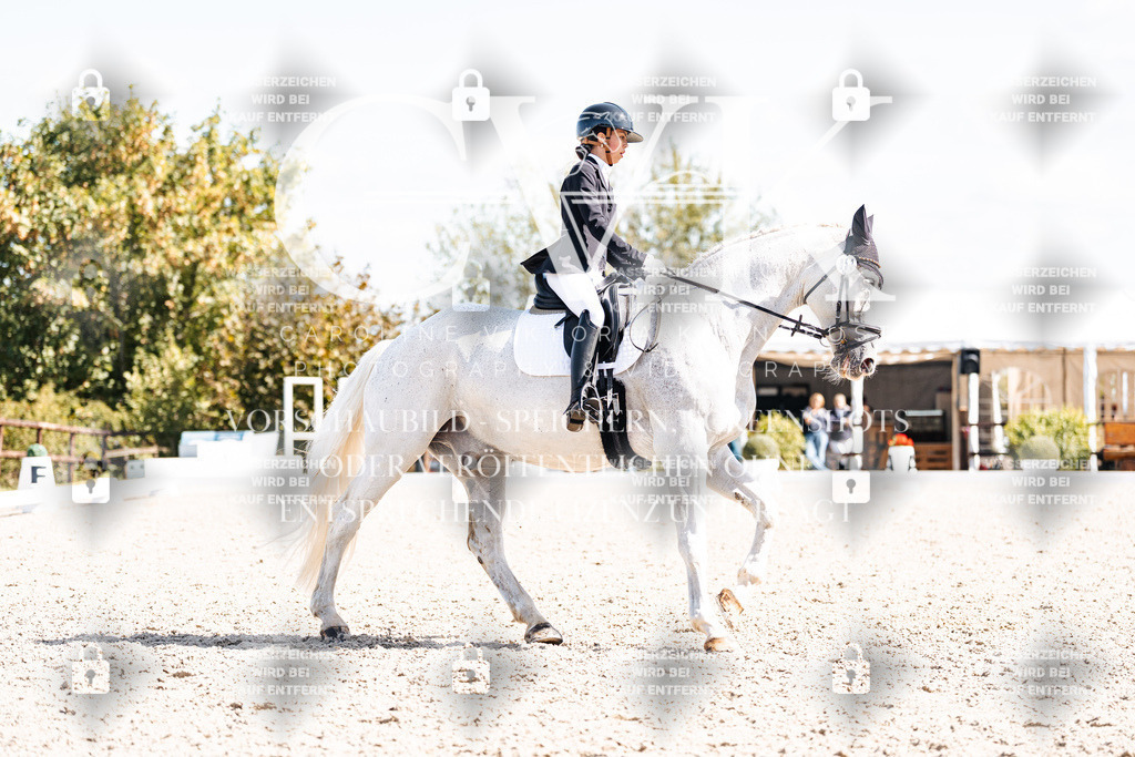 CK902946 | Turnierfotografie Pferdefotografie Trier Rheinland-Pfalz Pferdesport Reitsport Tierfotografie Sportfotografie Pferdevideo Pferdevideografie Equestrianvideography equestrianphotography  - Realisiert mit Pictrs.com