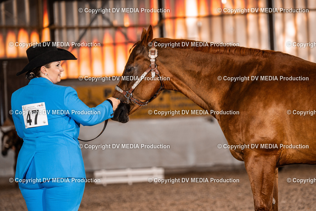 ZH100104 | dv-media-shop - Realisiert mit Pictrs.com