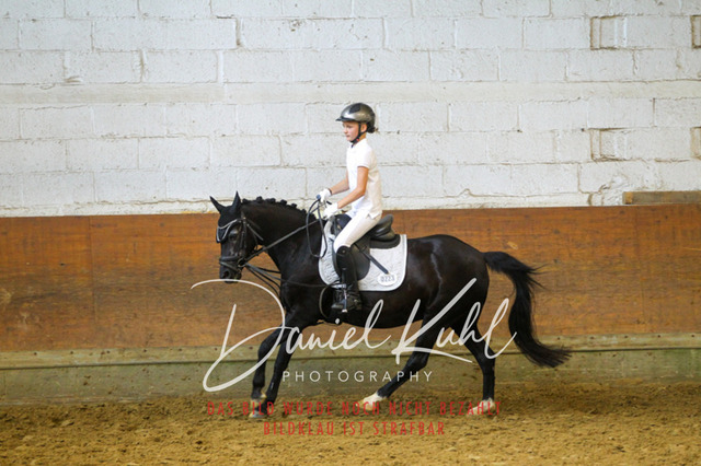 DKP44090 | Turniersportfotografie; Pferdefotografie; Dressurfotografie