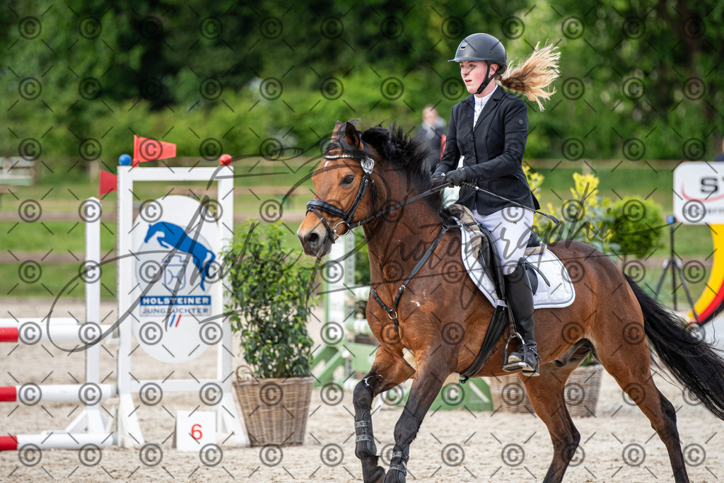 KPT_7107 | andre_photographic