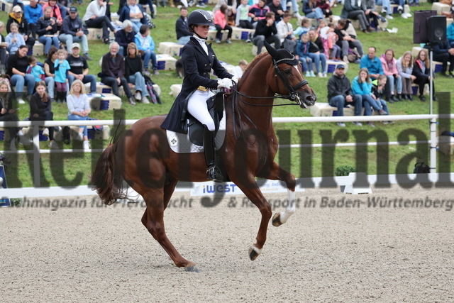 Birkhof_2025_Qualifikation zum Finale des Louisdor-Preis 2025_Julia de Ridder_Birkhofs Diamantinos (23) | Alle Fotos der Reiterjournal Fotografin Doris Matthaes im Reiterjournal Online-Fotoshop. - Realisiert mit Pictrs.com