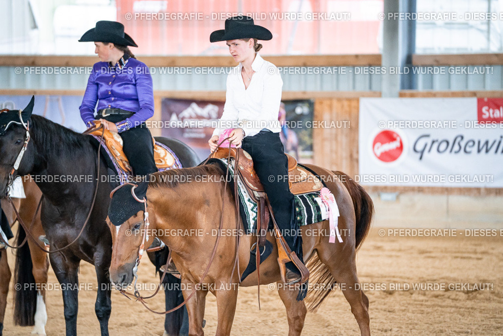 DSC01575 | Pferdegrafie