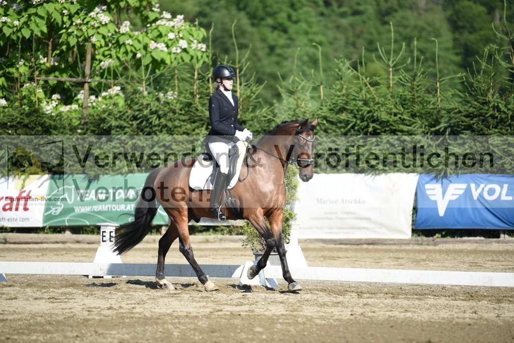 DSC_7155 | equestrian-live-com