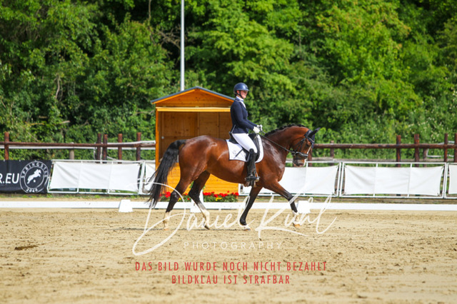 DKP45541 | Turniersportfotografie; Pferdefotografie; Dressurfotografie