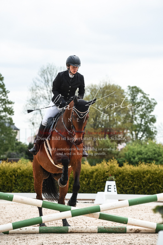 20230518_JK-Röhrsdorf-10-331 | Pferde- und Turnierfotografie in Westsachsen. Pferdeportraits, Auftragszeichnungen und intuitive Kunst.