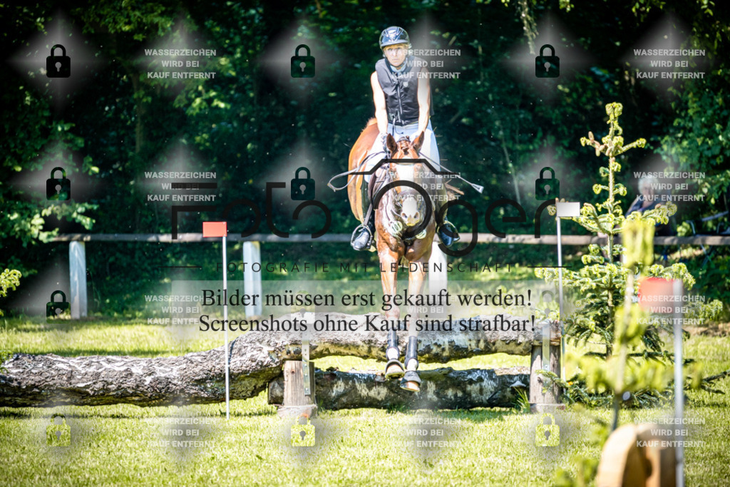 2026-05 - Melle Oldendorf-1-0010 | Entdecke hochwertige Reitturnierfotos von Foto Oger. Professionell, emotional und authentisch – jetzt Lieblingsmomente im Shop bestellen.Deutschlandweite Turnierfotografie. - Realisiert mit Pictrs.com