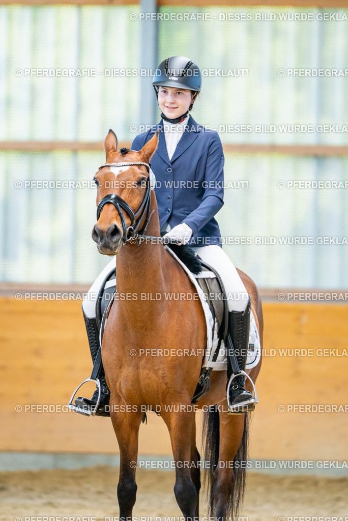 DSC07906 | Pferdegrafie