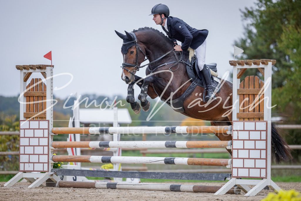 20251012-_3LI3800 | Tierfotografie Pferde, Hunde, Katzen, Haustiere.
Turnierfotografie Reitturniere, Reiten, Springreiten, Dressur in Hanau, dem Main-Kinzig-Kreis und dem Rhein-Main- Gebiet um Frankfurt