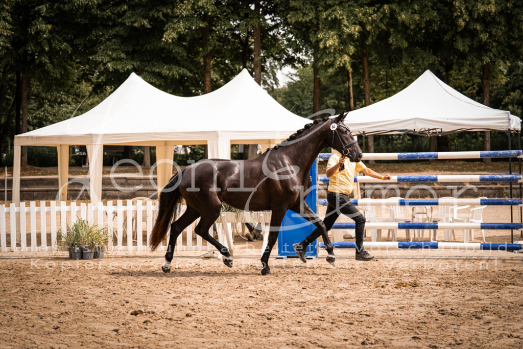 5.Fr00003 | Leoni Ertmer Photography - Realisiert mit Pictrs.com