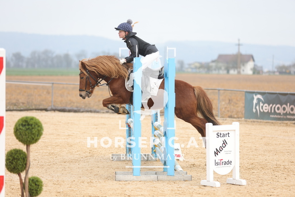 0P6A8704 | Willkommen bei Brunnmayr - Design & Fotografie – Ihrem Spezialisten für Reitturniere und Pferdeveranstaltungen in Oberösterreich, Salzburg und Bayern! Seit über 17 Jahren sind wir leidenschaftlich dabei.