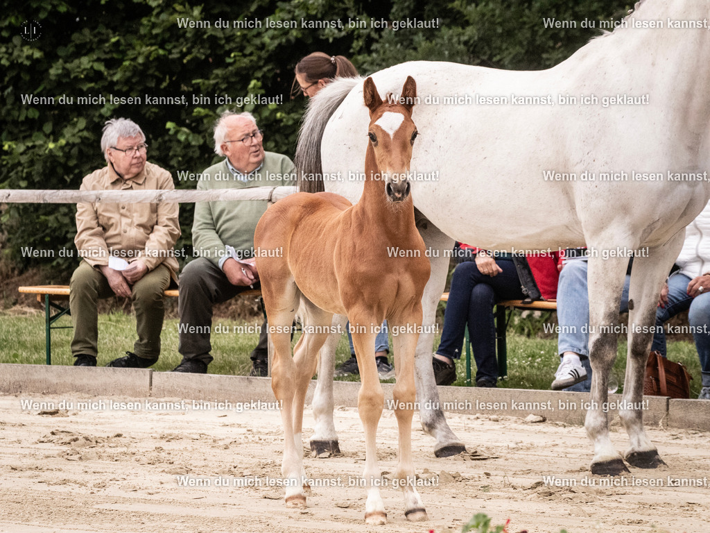 A10I9526 | photographylinaismer - Realisiert mit Pictrs.com