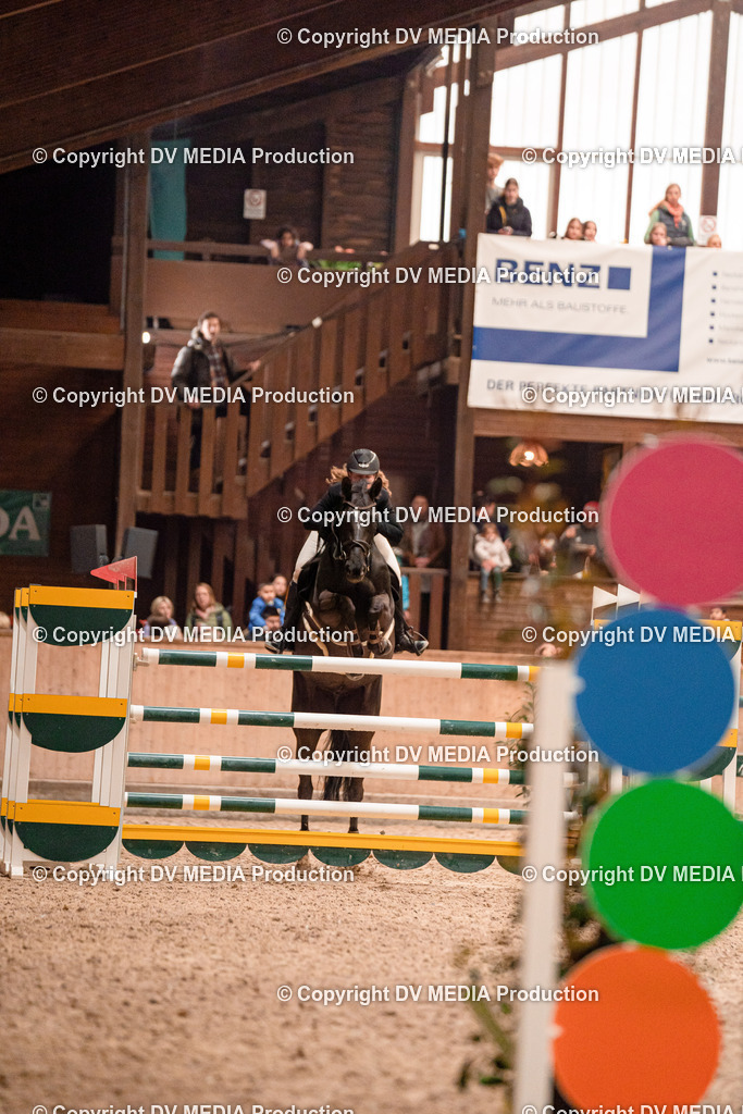 Springen Tag 3-461 | dv-media-shop - Realisiert mit Pictrs.com