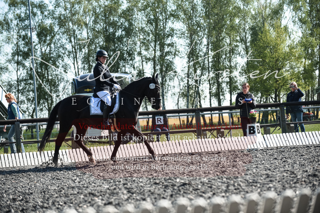 DSC_8629 | Pferde- und Turnierfotografie in Westsachsen. Pferdeportraits, Auftragszeichnungen und intuitive Kunst.