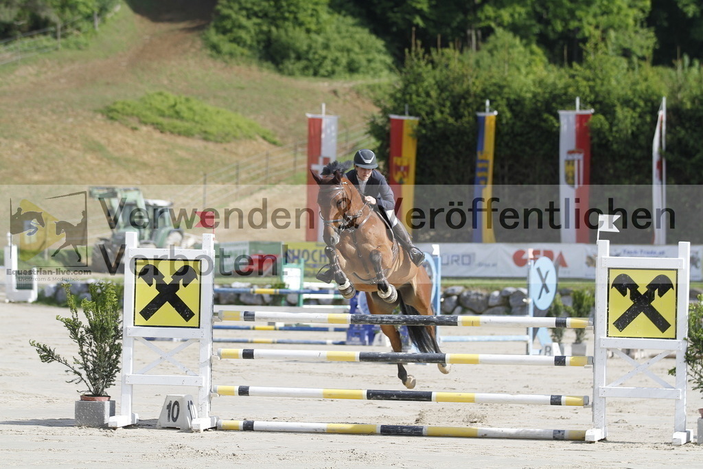 _MG_8609 | equestrian-live-com