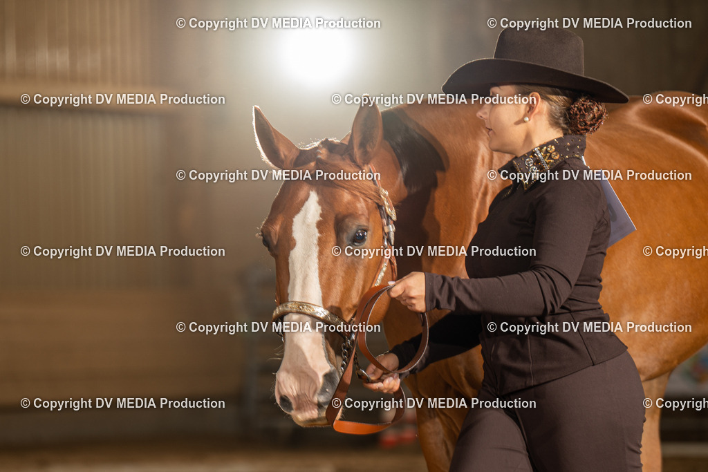 NID02393 | dv-media-shop - Realisiert mit Pictrs.com