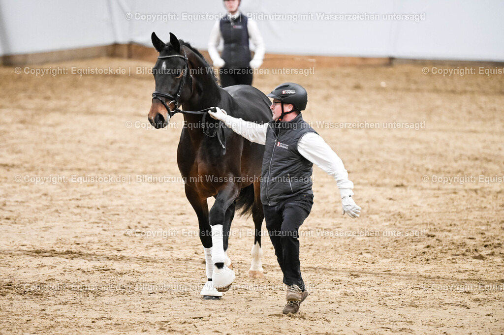 20260307_Hengstvorstellung-Marbach_0299 | equistock