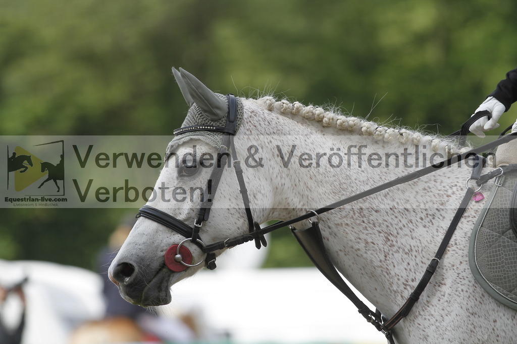 _MG_4585 | equestrian-live-com