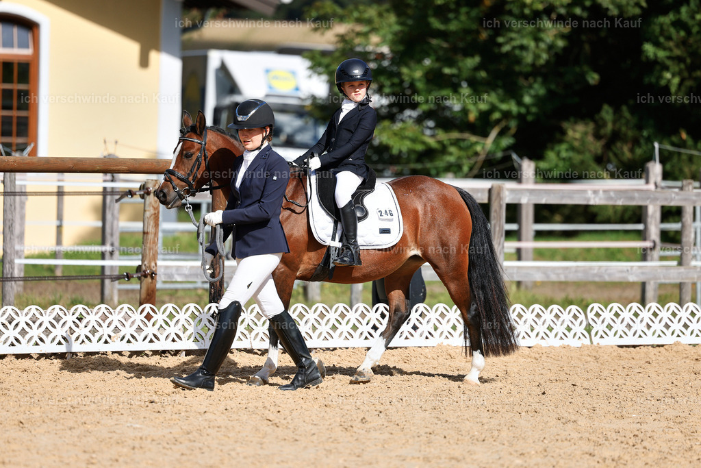 01--Ponyführzügel -StoibPH-6667 | working equitationturnier fotograf videograf stoibphotography marixx film working equitation deutschland reitsport turnierfotografie eventfotografie equestrian events