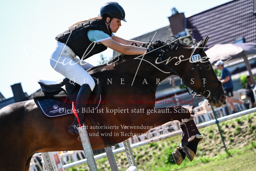 DSC_1498 | Pferde- und Turnierfotografie in Westsachsen. Pferdeportraits, Auftragszeichnungen und intuitive Kunst.