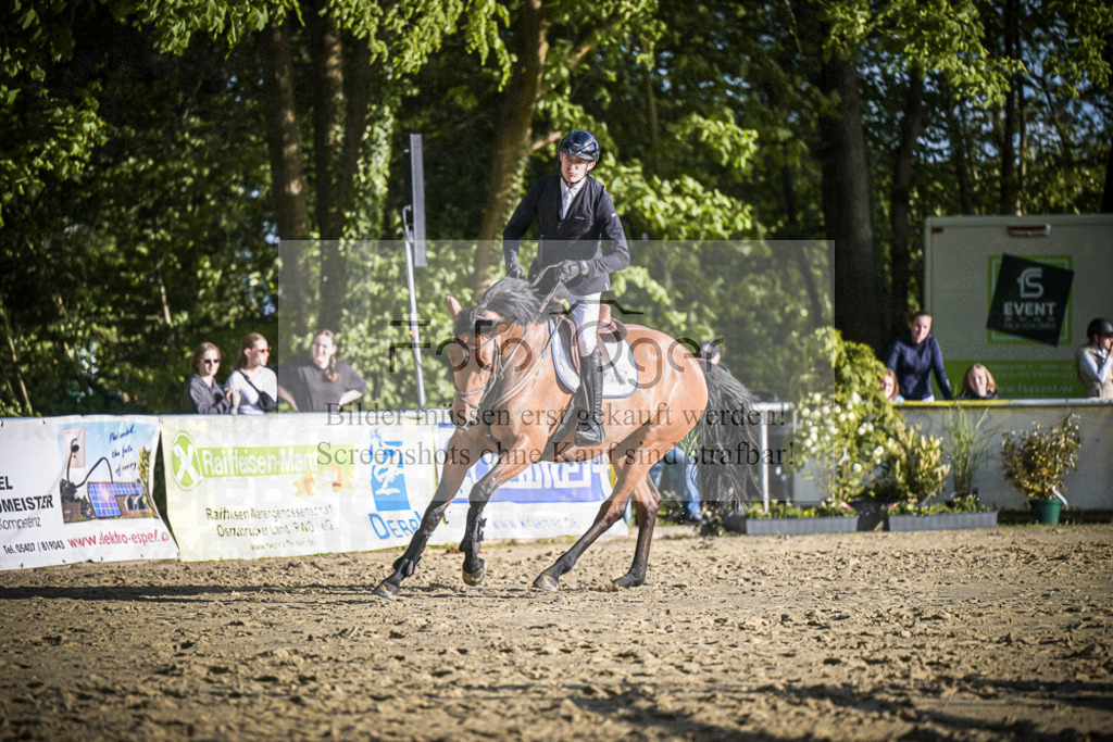 DOS_4347 | Entdecke hochwertige Reitturnierfotos von Foto Oger. Professionell, emotional und authentisch – jetzt Lieblingsmomente im Shop bestellen.Deutschlandweite Turnierfotografie. - Realisiert mit Pictrs.com