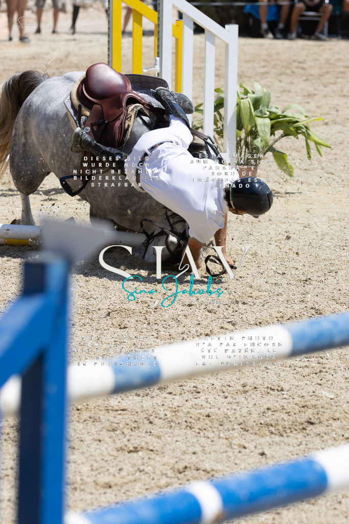 IMG_8046 | s-jay-photography - Realisiert mit Pictrs.com