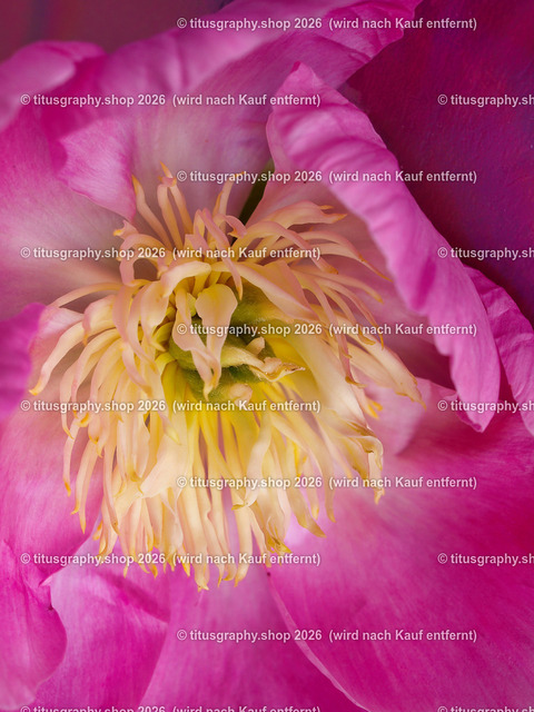 titusgraphy_P6150237-vz-ln | titusgraphy-shop: Geschenkideen mit Qualitätsfotos. titusgraphy-shop: gift ideas with quality photos. titusgraphy-shop: idées cadeaux avec photos de qualité.  - Realisiert mit Pictrs.com