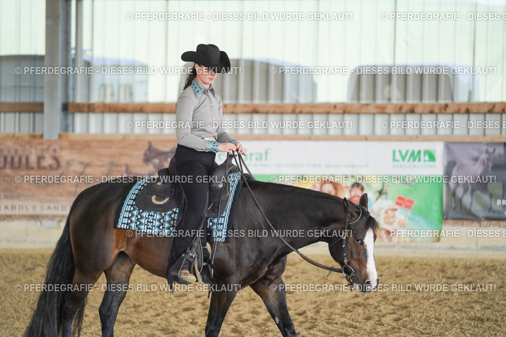 DSC09967 | Pferdegrafie