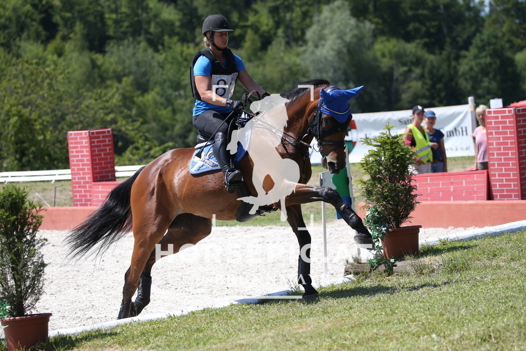 DL2Q1221 | Willkommen bei Brunnmayr - Design & Fotografie – Ihrem Spezialisten für Reitturniere und Pferdeveranstaltungen in Oberösterreich, Salzburg und Bayern! Seit über 17 Jahren sind wir leidenschaftlich dabei.