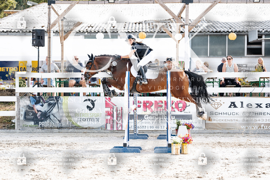 CK905789 | Turnierfotografie Pferdefotografie Trier Rheinland-Pfalz Pferdesport Reitsport Tierfotografie Sportfotografie Pferdevideo Pferdevideografie Equestrianvideography equestrianphotography  - Realisiert mit Pictrs.com