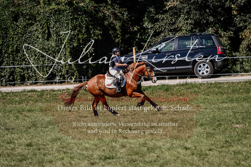 DSC_1908 | Pferde- und Turnierfotografie in Westsachsen. Pferdeportraits, Auftragszeichnungen und intuitive Kunst.